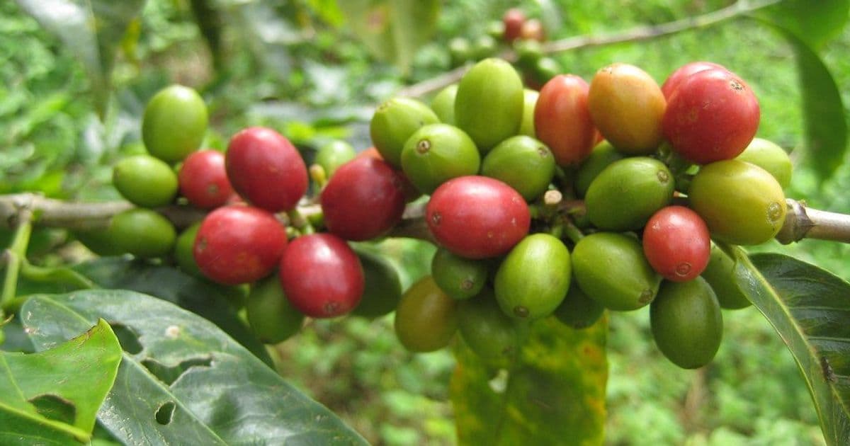Top 10 Đặc Sản Nên Mua Làm Quà Khi Đi Du Lịch