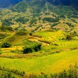 Sa Pa